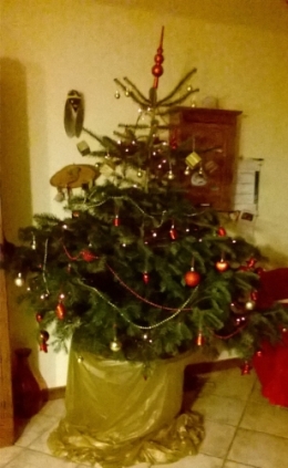 WP_20151211_006.jpg