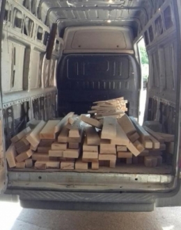 Bois 30 juin (1).jpg