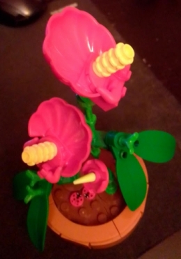 2023 12 25 fleur.jpg