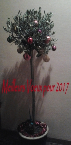 Voeux 2017.jpg