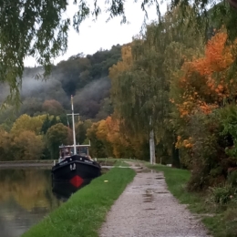 #44 Automne 2026 10.jpg