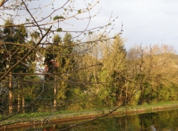 17 avril 2015 (5).JPG
