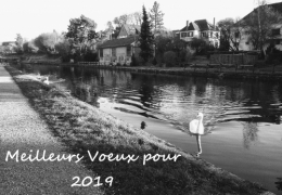 Carte Voeux 2019.jpg