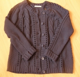 Gilet fev 2012.JPG