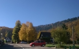 3681145714.jpg