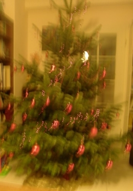 Sapin 3 2011.JPG