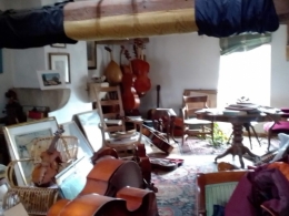 luthier 20210303 (4).jpg
