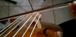 Partitions violes 20092015 (7).jpg