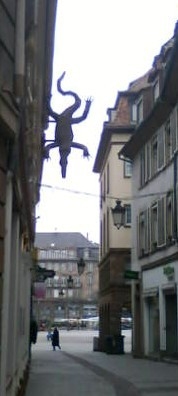 28022012 Crocodile.JPG