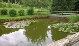 WP_20150620_003.jpg