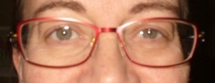 lunettes (1).JPG