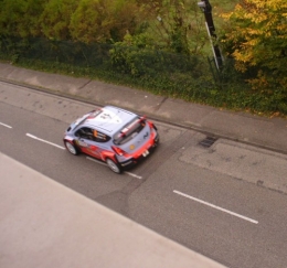Sordo.JPG