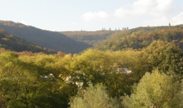 19102015 depuis le velux) (2).JPG