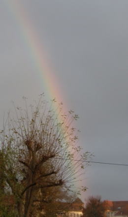 26 novembre 2015 (1).JPG