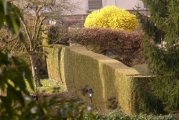 13 avril 2013 (2).JPG