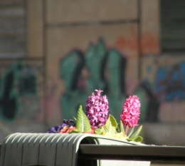 10 avril 2015 (3).JPG