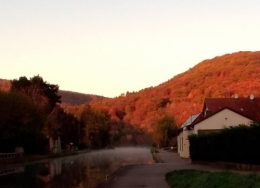 IMG_20201105_074623_2.jpg