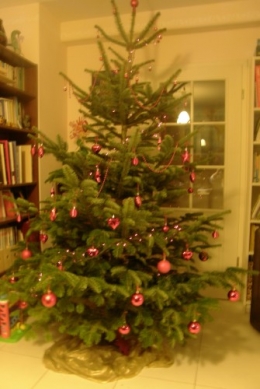 Sapin 1 2011.JPG