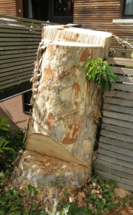 30 mai 2015 (14).JPG