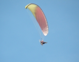 05 août 2015 (1).JPG
