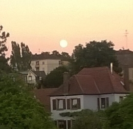 WP_20190616_002.jpg