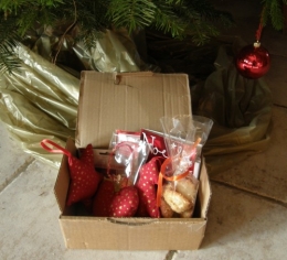 Swap Noël 2012 (1).JPG