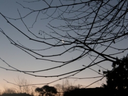30 décembre 2013 (3).JPG