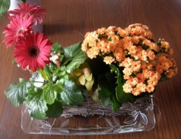 Anni 47 fleurs bis.JPG
