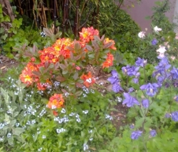 IMG_20230516_073823.jpg