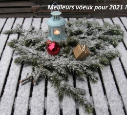 Voeux 2021.jpg