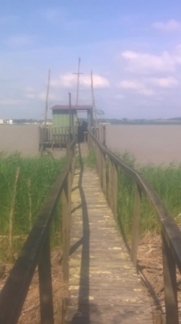 Q. Pêche au carrelet 12062015.jpg