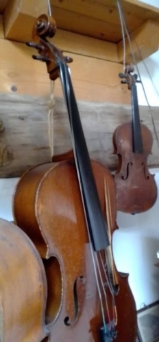 luthier 20210303 (15).jpg
