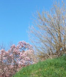 #14 Ciel (1) 2025 03 28.jpg