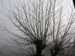 30 décembre 2013 (9).JPG