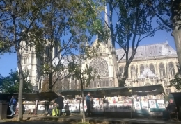 Paris 30 octobre 2016 (3).jpg
