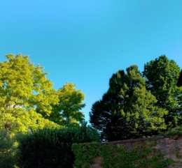 #23 Point météo (3).jpg
