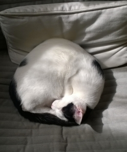 WP_20190328_002.jpg