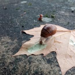 #41 Par terre 20250926.jpg