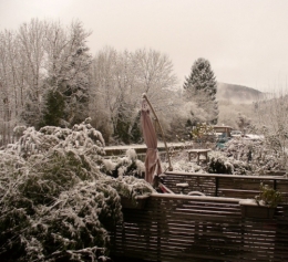 27 décembre 2014 (7).JPG