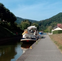 #37 Chemin faisant.jpg