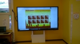 WP_20191015_001.jpg