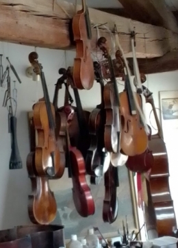 luthier 20210303 (8).jpg