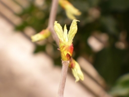 04 avril 2014 (1).JPG