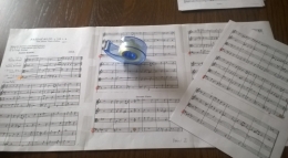 Partitions violes 20092015 (2).jpg