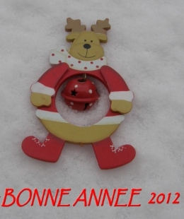 Voeux pour 2012.JPG