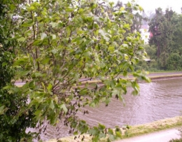 31 mai 2013.JPG
