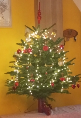 2025 12 07 Sapin.jpg