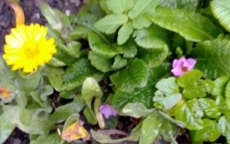 IMG_20201125_155939.jpg