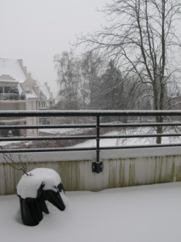 hiver janvier 2010.JPG