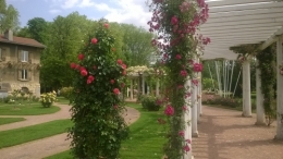 WP_20160528_012.jpg